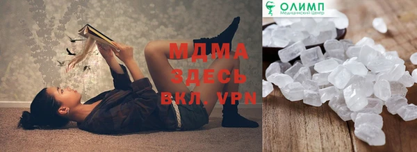 хмурый Аркадак