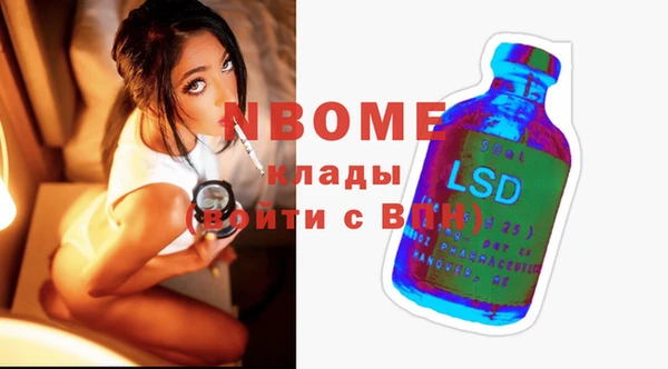 хмурый Аркадак
