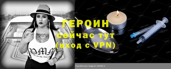 хмурый Аркадак