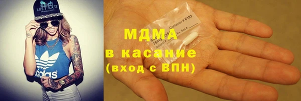 хмурый Аркадак