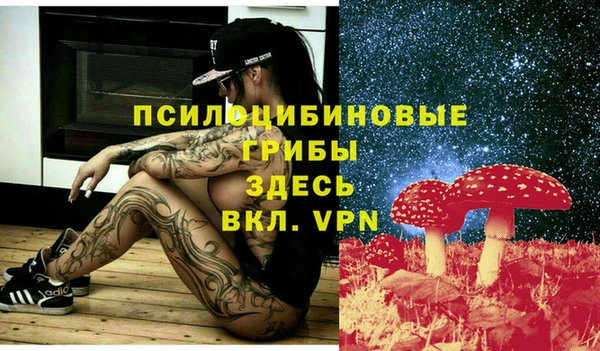 соль курить ск Арсеньев