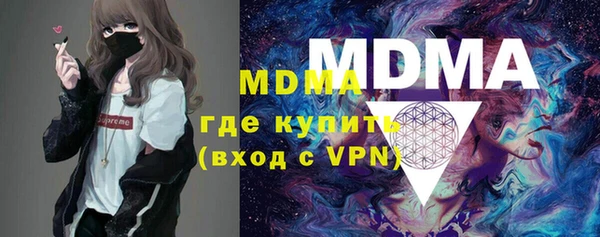 хмурый Аркадак