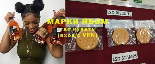 хмурый Аркадак