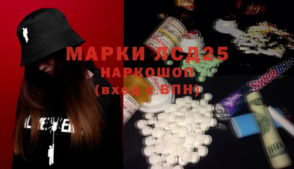 хмурый Аркадак